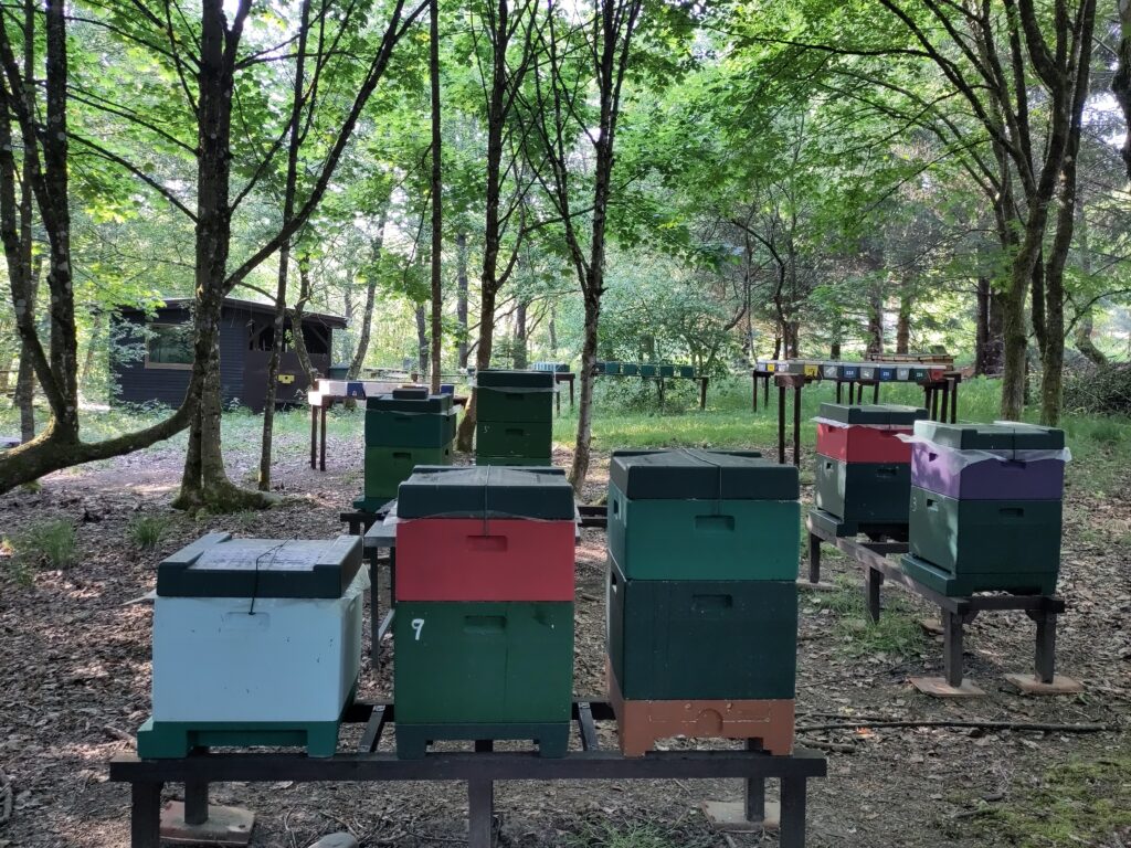 Belegstelle