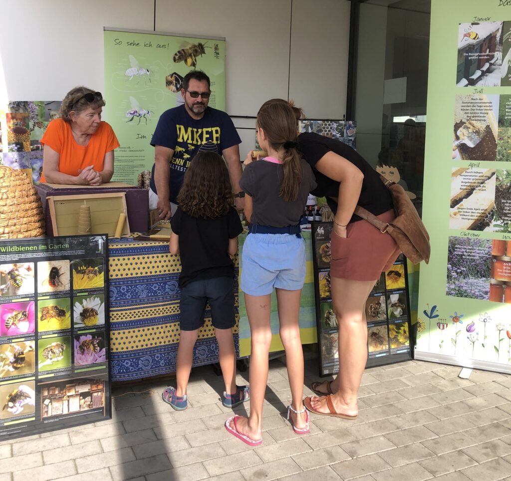 bienenstand2